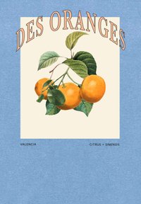 Pomeranče Valencia znázorněné se zelenými listy na neutrálním pozadí, umělecký název "DES ORANGES," obklopené modrou texturou.