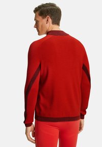 Pull rouge en tricot avec un col côtelé et des accents rayés sur les bras. Le design présente une silhouette ajustée et un tissu texturé.