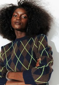 Pull en tricot avec un motif argyle marron et bleu marine, agrémenté d'accents verts. Les manches sont côtelées et il possède un col rond.