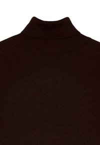 Brauner Rollkragenpullover mit geripptem Textil und taillierter Passform, ausgestattet mit einem hohen Kragen und einem glatten, nahtlosen Rücken.