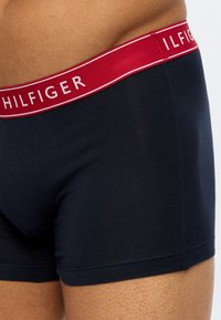 Ανδρικός κορμός που φοράει ναυτικό μπλε μποξεράκι με κόκκιν η μέση και λευκή επιγραφή "HILFIGER".