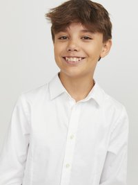 Miniatiūros vaizdas 4