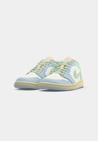 Ζευγάρι χαμηλών αθλητικών παπουτσιών σε απαλό πράσινο, μπλε, κρέμα και καστανό με λογότυπο Nike και κορδόνια σε λευκό φόντο.