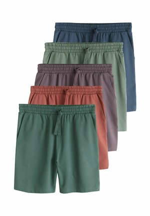 LIGHTWEIGHT 5 PACK  - REGULAR FIT - Shortsit - multi