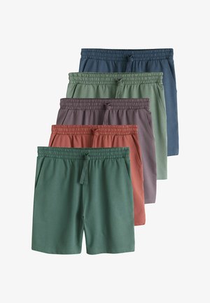 LIGHTWEIGHT 5 PACK - REGULAR FIT - Pantaloni scurți - multi