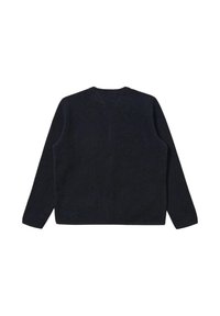 Pullover blu scuro, maniche lunghe, scollatura rotonda, tessuto leggermente testurizzato, colore uniforme senza motivi o dettagli visibili sul retro.