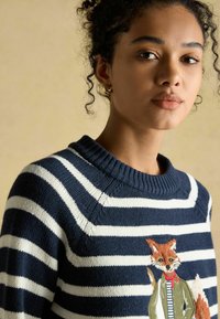 Tumesinine ja valgete triipudega kampsun, millel on tikitud rebane rohelises jopes ja punases sallus, ribitud ümmarguse kaelusega ja tekstuuriga.