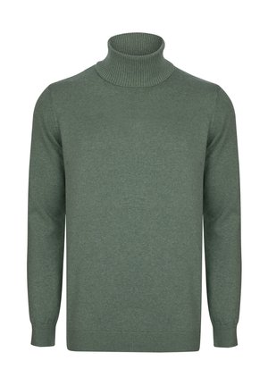 Suéter de cuello alto verde hecho de un material de punto suave. Presenta un cuello y puños acanalados, con una textura suave y un diseño clásico.