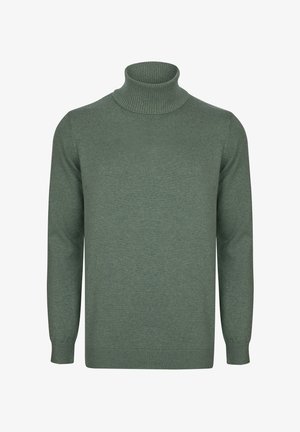 Grüner Rollkragenpullover aus weichem Strickmaterial. Verfügt über einen gerippten Hals- und Ärmelabschluss, mit einer glatten Textur und einem klassischen Design.