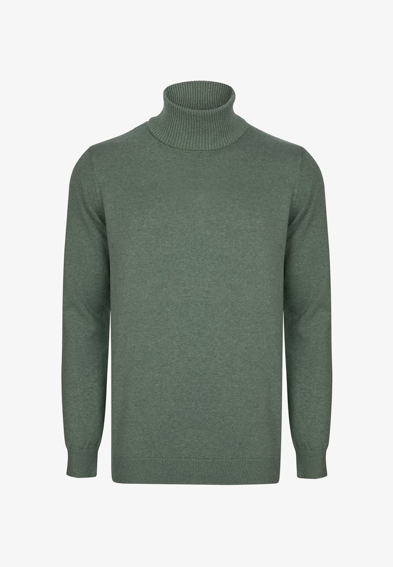 Grüner Rollkragenpullover aus weichem Strickmaterial. Verfügt über einen gerippten Hals- und Ärmelabschluss, mit einer glatten Textur und einem klassischen Design.