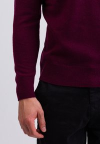 CASH-MERE ROLLKRAGEN  - Maglione - cranberry rot