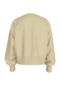 Felpa beige con vestibilità rilassata, caratterizzata da polsini e orlo a coste, maniche raglan e una superficie liscia. La vista posteriore mostra dettagli minimi.