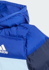 adidas Performance UNISEX - Vinterjakke - semi lucid blue clear sky legend ink