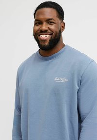 Blå langermet genser laget av bomull, med ribbestrikket hals og en hvit logo på venstre bryst. Glatt tekstur, avslappet passform.