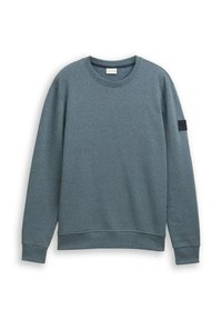 Lichtblauw-grijze sweatshirt gemaakt van zacht materiaal. Heeft een ronde hals, ribbelmanchetten en een klein zwart label op de mouw.