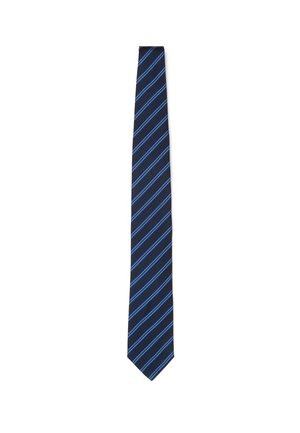 STRIPED  - Cravatta - blue light blue