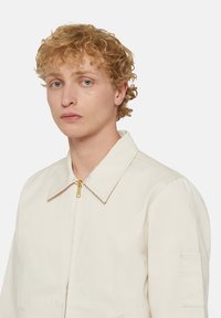 Beige, zippered jacket with a collar, side pockets, and a golden zipper. Cotton fabric, smooth texture, minimalistic design.