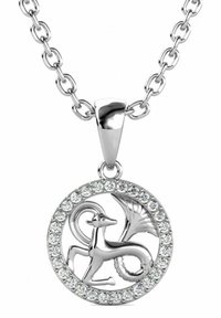 Pendente d'argento con design di drago, circondato da cristalli trasparenti. La collana ha una catena regolabile con anelli di argento intrecciati.