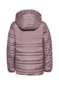 Gevoerde capuchonjas van zacht mauve materiaal. Heeft een horizontaal gestikte design, elastische manchetten en een gladde textuur. Achteraanzicht.