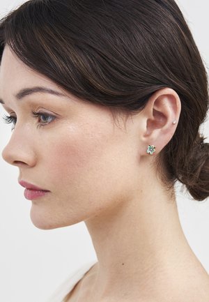 Sieviete ar tumšiem matiem, kas saņemti atpakaļ, valkājot nelielas ziedu formas auskarus un mazu augšējās auss caurduršanu, skatioties pa kreisi tuvplānā profilā.