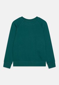 Turkusowa bluza z długimi rękawami raglanowymi, okrągłym dekoltem oraz ściągaczami na rękawach i u dołu. Gładka faktura i minimalistyczny design.