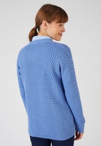 Maglione azzurro chiaro con motivo a maglia testurizzato, maniche lunghe e orlo arrotondato. Indossato sopra una camicia bianca con colletto, vista da dietro.