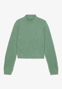 Maglione a collo alto verde menta realizzato in un materiale morbido e peloso, con maniche lunghe e orlo corto, dalla finitura soffice e testurizzata.