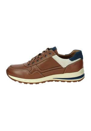BRADLEY - Sneaker low - brown