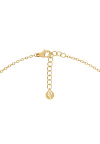 Kuldtooni ketigael, millel on krabi klamber, mitu lingiosa ja ringikujuline ripats, millele on reljeefselt graveeritud sümbol.