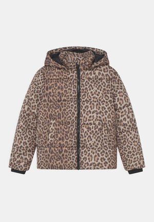 SHORT LEO - Winterjacke - brown