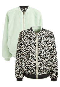 WE Fashion REVERSIBLE - Vinterjacka - green