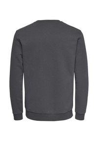 Grey sweatshirt with a round neck, long sleeves, and ribbed cuffs. Smooth texture, minimal design, no visible logos or patterns.