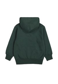 Felpa verde con una texture morbida, dotata di un ampio cappuccio, polsini ed elastico in vita. Il retro è privo di motivi o dettagli aggiuntivi.