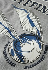 Una tela gris presenta un diseño caprichoso de un snitch dorado con acentos azules y alas detalladas, acompañado de un texto que dice "CAMPEONATO DE CASA".