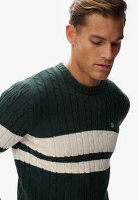 Maglione verde lavorato a maglia con motivi a treccia, caratterizzato da righe orizzontali bianche. Collo rotondo a coste e discreto dettaglio del logo del marchio.