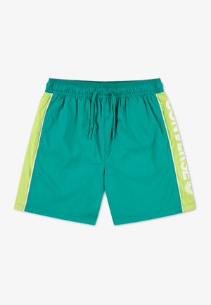 Shorts de bain turquoise avec une ceinture élastique, un cordon de serrage et des accents latéraux verts néon. Ils comportent un texte de logo blanc sur un côté.