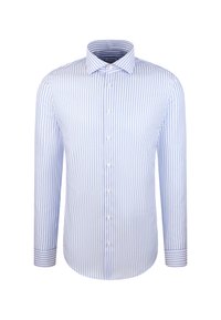 Lichtblauw en wit verticaal gestreepte langemouwen dressshirt met knoopsluiting aan de voorkant en klassieke kraag op een witte achtergrond.