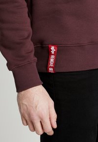 Mørkerød sweatshirt med ribbede manchetter og talje. Udstyret med et rødt mærke med hvid tekst, der står "FJERN BELTET." Skarp, ensfarvet farvekontrast.