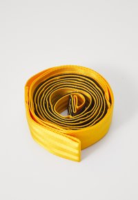 The North Face WAWONA HAMMOCK UNISEX - Ostali dodaci - summit gold/black