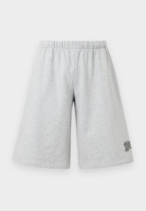 BLARE UNISEX - Šortky - ash grey