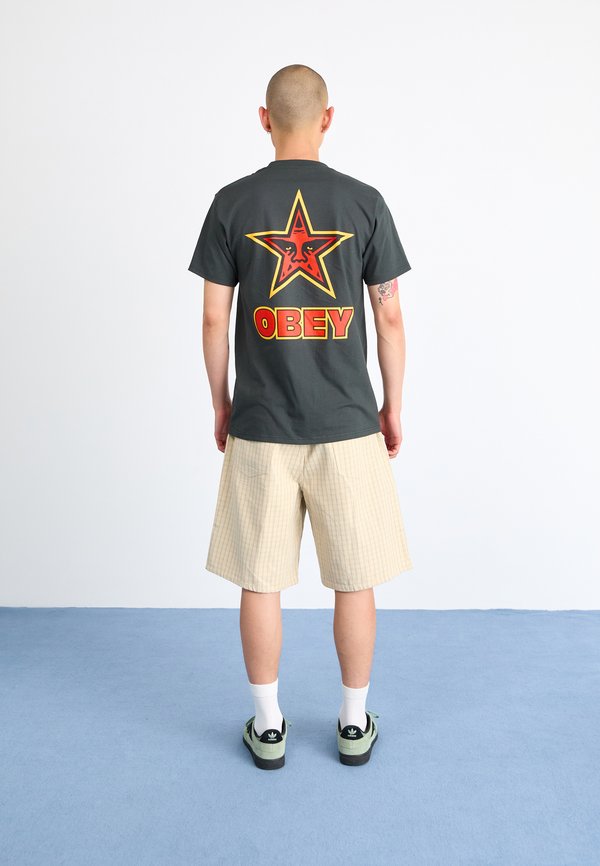 BAGGY  - Shorts - pelican2