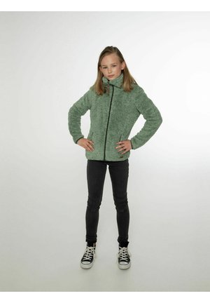 Grüne Fleecejacke mit hohem Kragen, voller Reißverschluss und zwei Seitentaschen. Kombiniert mit dunklen Jeans und schwarzen Turnschuhen. Glattes, strukturiertes Material.