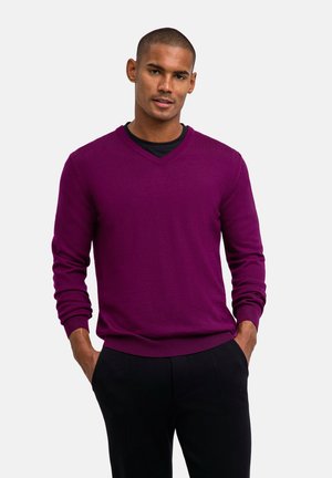 PULLOVER - Maglione - vendetta