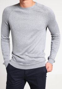 Pull gris en tricot avec manches longues et col rond. Présente des poignets et un ourlet côtelés, mettant en valeur une texture lisse et une coupe classique.