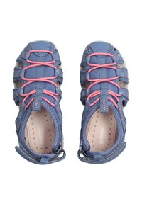 Scarpe blu traspiranti con lacci elastici rosa, decorazioni floreali e una soletta imbottita con perforazioni per la ventilazione.