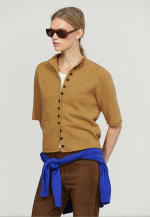 Donna che indossa un maglione marrone a maniche corte con bottoni, occhiali da sole, top bianco, pantaloni marroni, con maglione blu legato intorno alla vita, in piedi davanti a uno sfondo semplice.