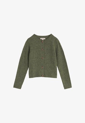 Roheline villane kardigan ümmarguse kaeluse, pikkade varrukate ja kuue pruuni nupuga ees. Omadused tekstuurse kudumiga ja soonikkoes äärega.