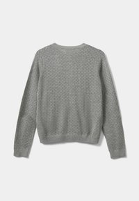 Maglione grigio a maglia caratterizzato da un motivo a diamante testurizzato, maniche lunghe e polsini e orlo a costine. Vista posteriore, senza bottoni o decorazioni.