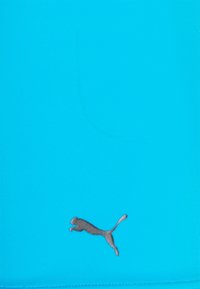 Puma SWIM MEN LOGO TRUNK - Calções de banho - energy blue