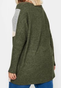 Pull avant-gardiste vert olive avec une texture douce. Présente des accents en blocs de couleur gris et rose clair sur les manches. Ourlet arrondi.